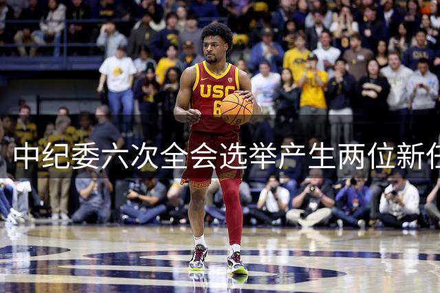 中纪委六次全会选举产生两位新任副书记